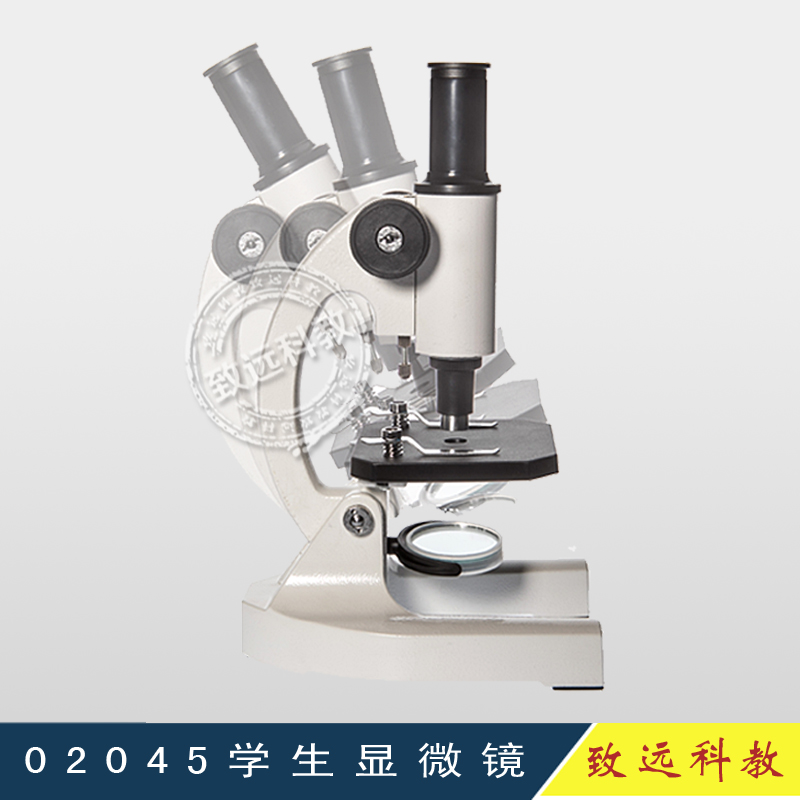 显微镜